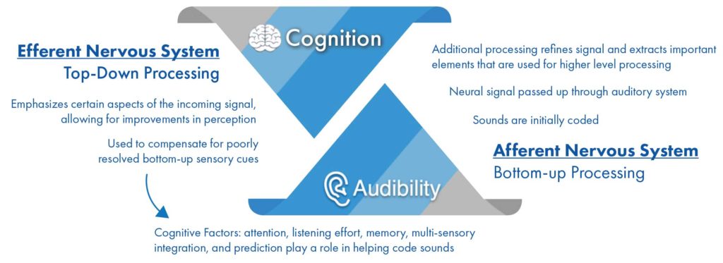 A diagram showing the relationship between cognition and hearing